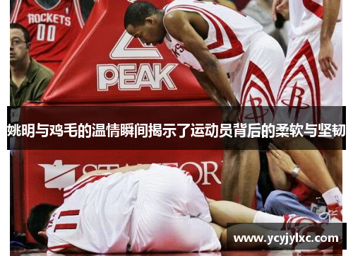 姚明与鸡毛的温情瞬间揭示了运动员背后的柔软与坚韧