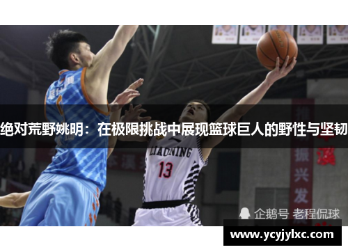 绝对荒野姚明：在极限挑战中展现篮球巨人的野性与坚韧